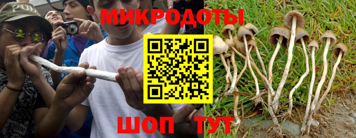 Галлюциногенные грибы MAGIC MUSHROOMS  Псилоцибиновые грибы MAGIC MUSHROOMS  Лесозаводск  Вход с VPN 